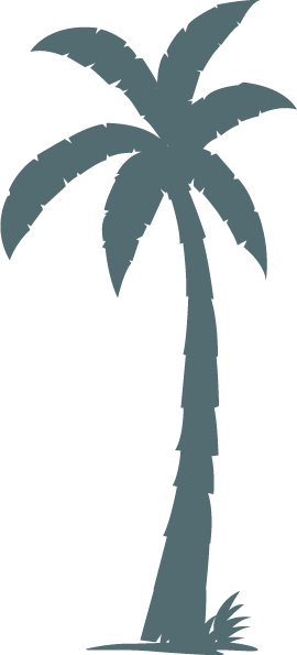 Illustration d'un palmier.'