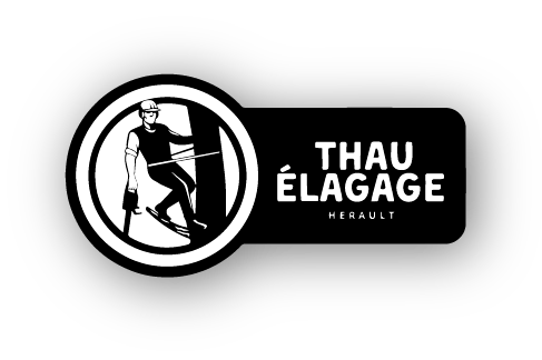 Illustratio du logo de la société Thau Élagage en Noir & Blanc.